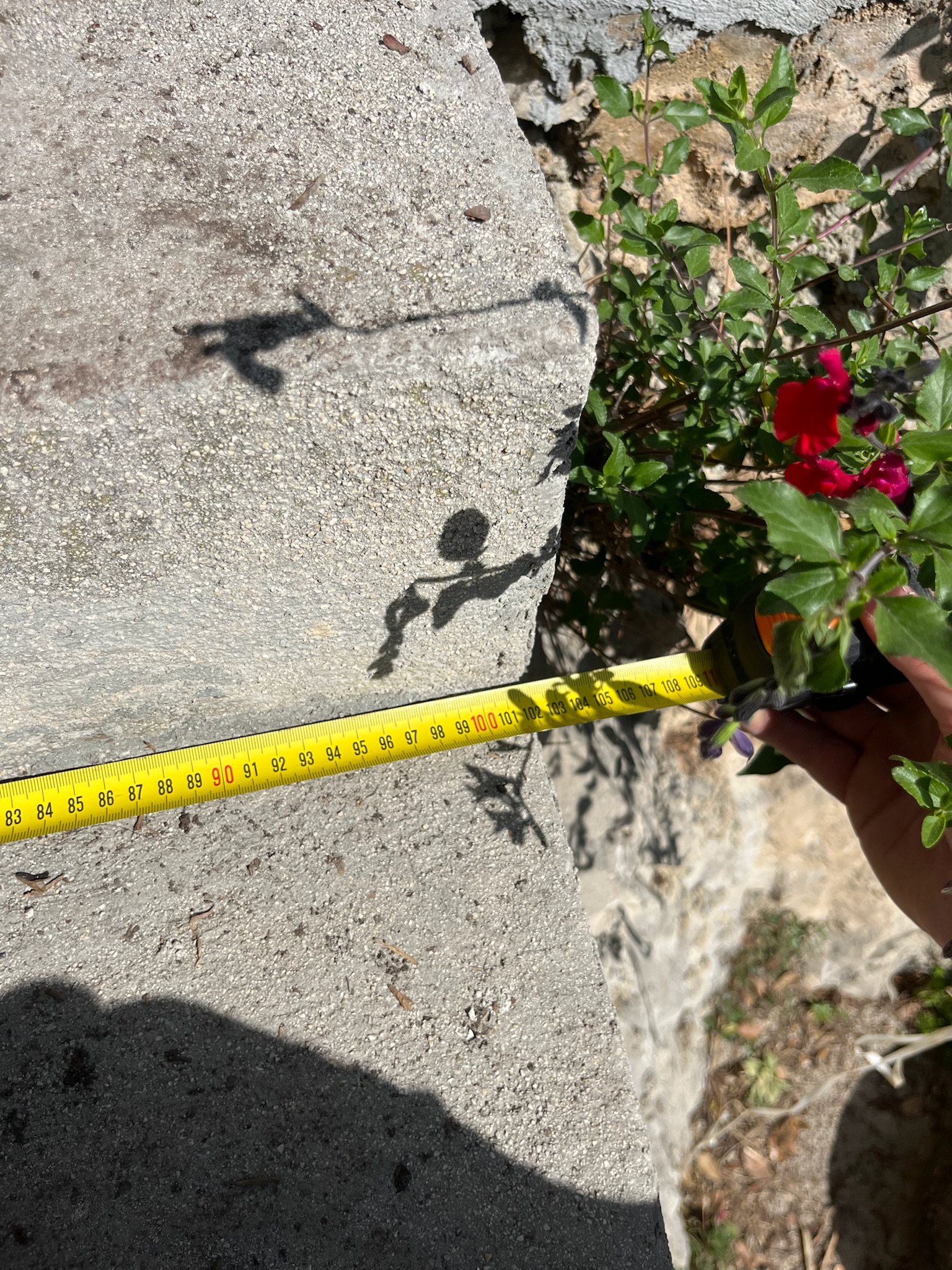 Chantier Roucas - Photo 78